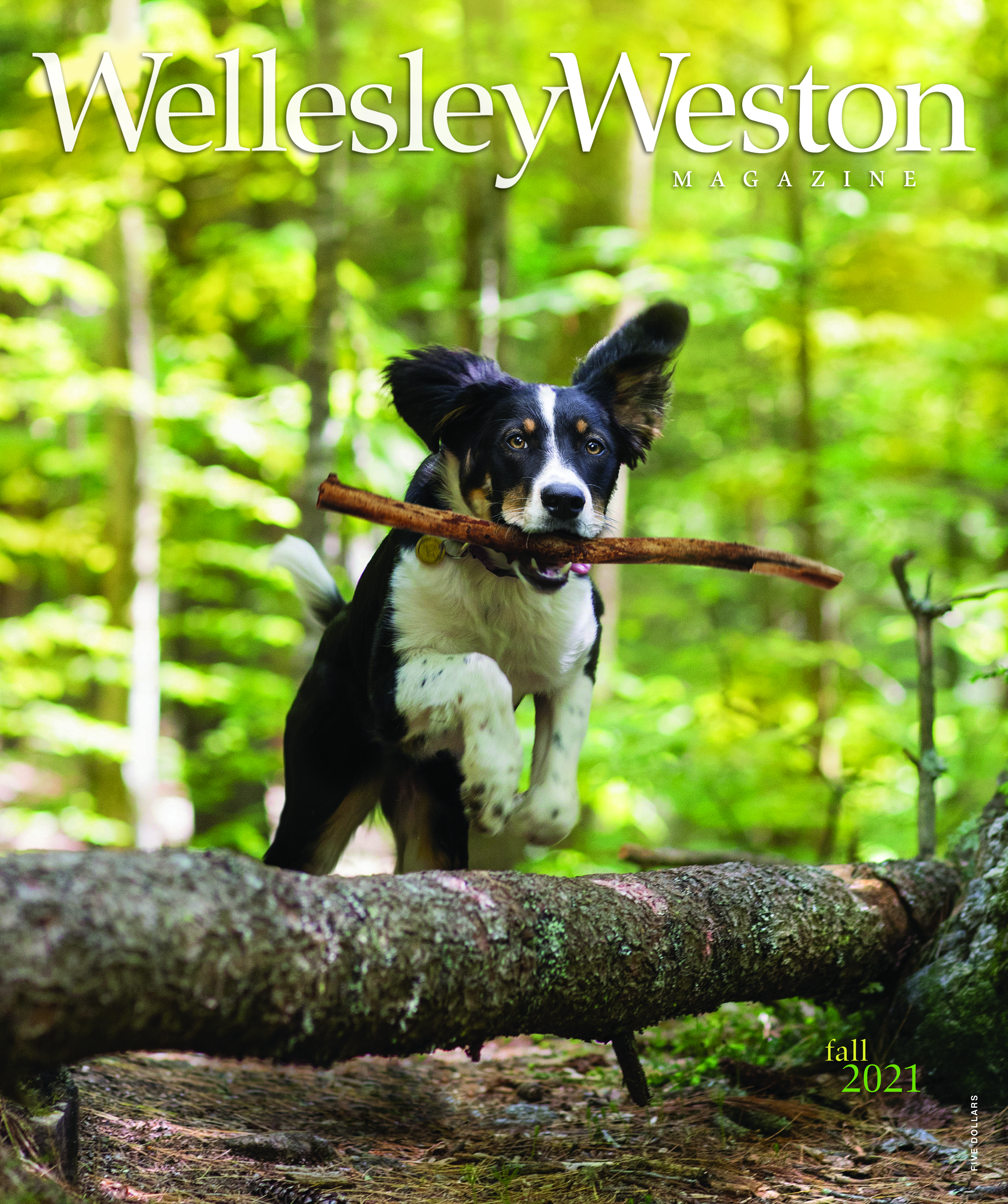 WellesleyWeston Magazine Fall 2021 Cover page